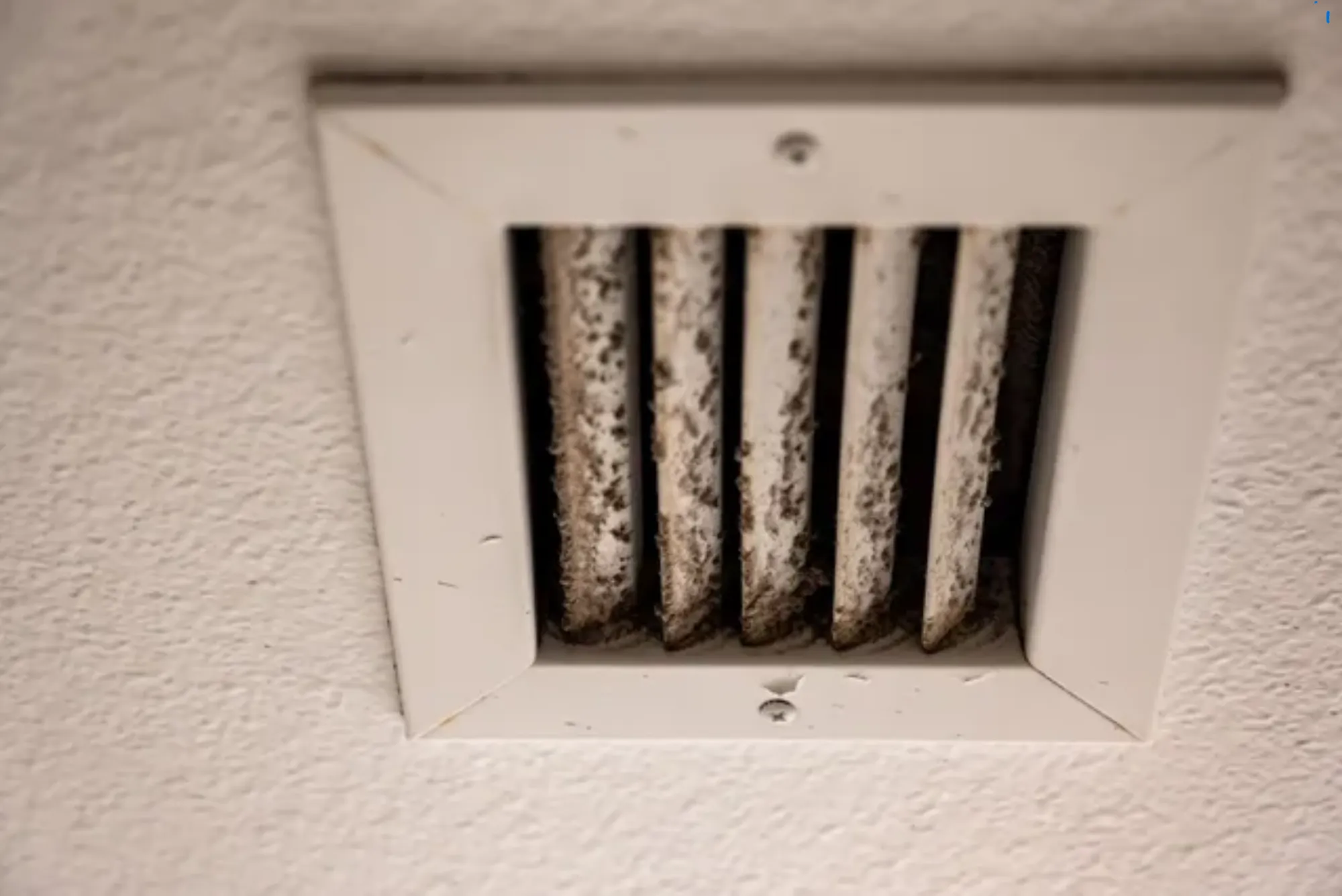 How to Prevent Mold Growth in AC Ducts