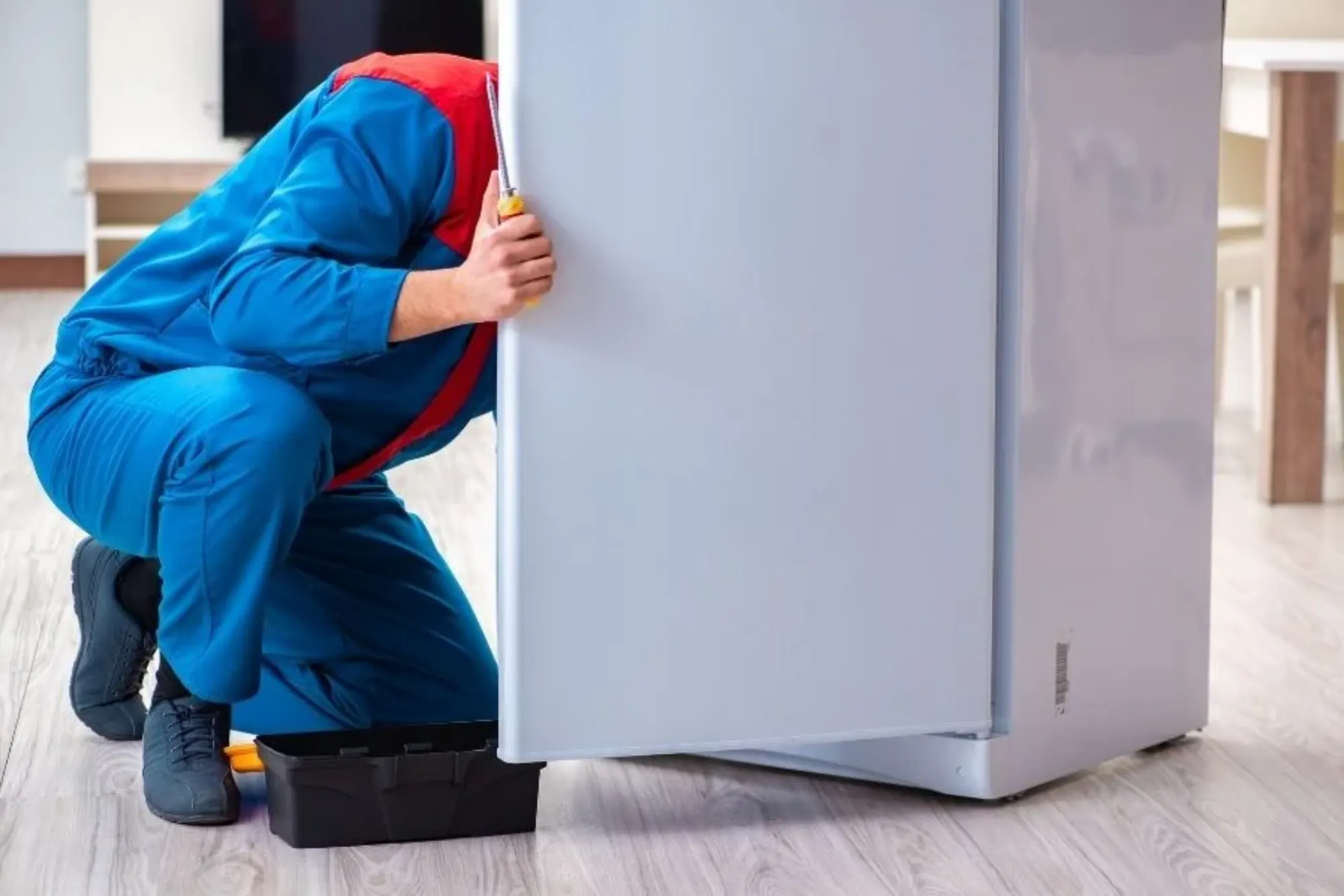 Affordable Refrigerator Maintenance Dubai